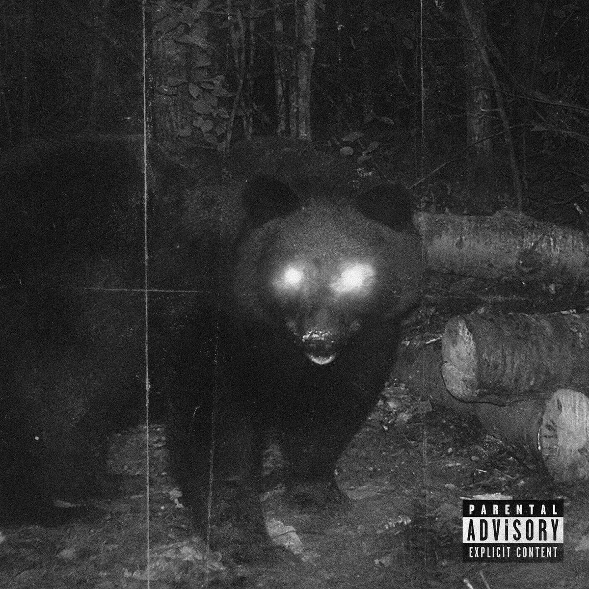 Album cover of Urso Pardo
