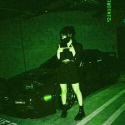 Cover of RAPTURE (Slowed + Reverb)
