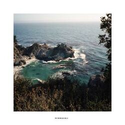 Cover of Summer Blu
