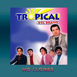 Cover of No Llores