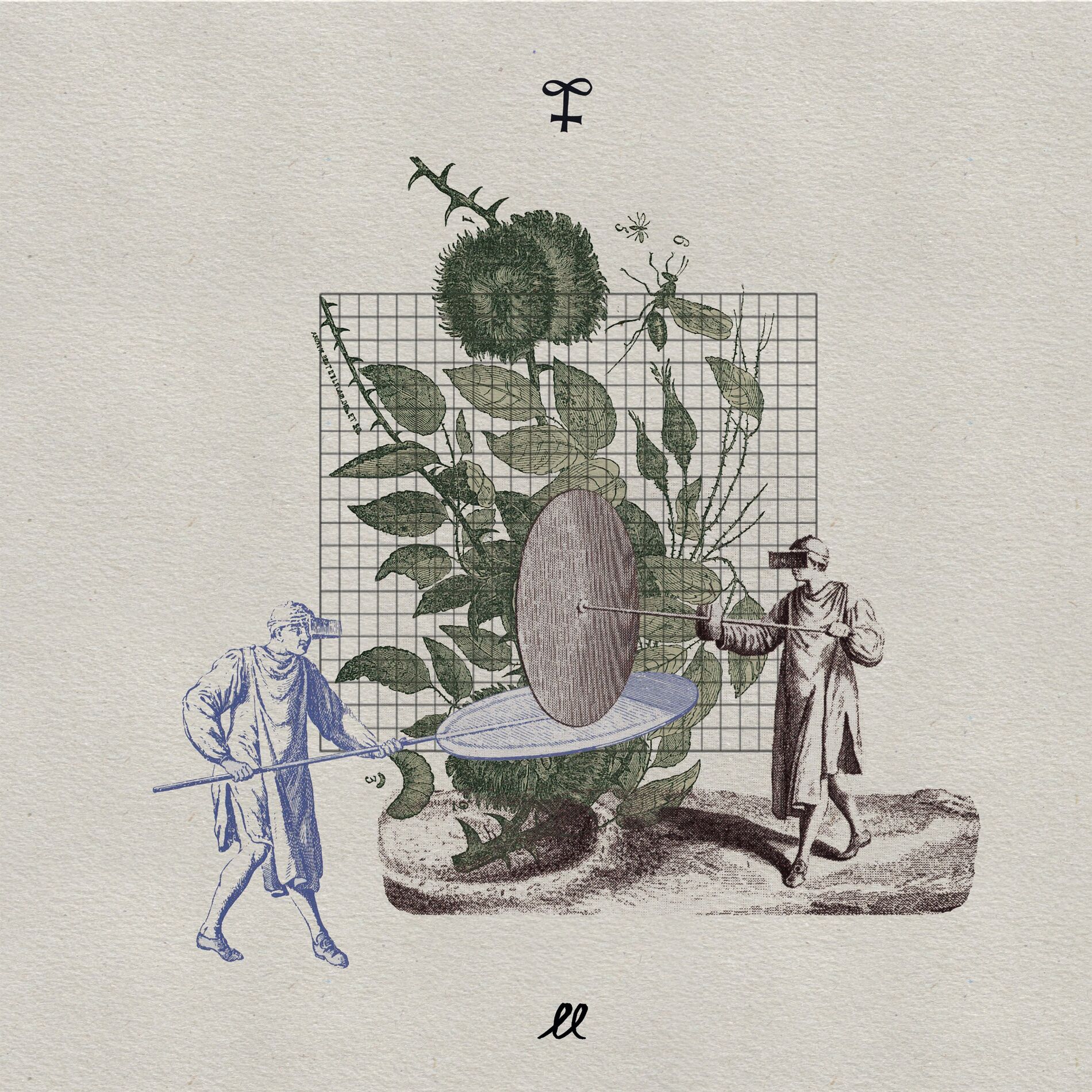 Album cover of Orange Evening