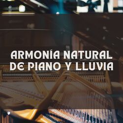 Cover of Armonía Natural De Piano Y Lluvia