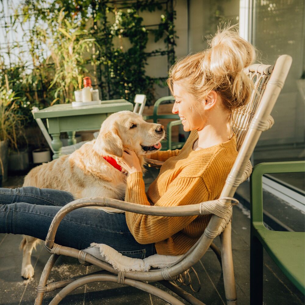 Picture of Mindful Dog Melodies: Ambient Music for Calm Interactions