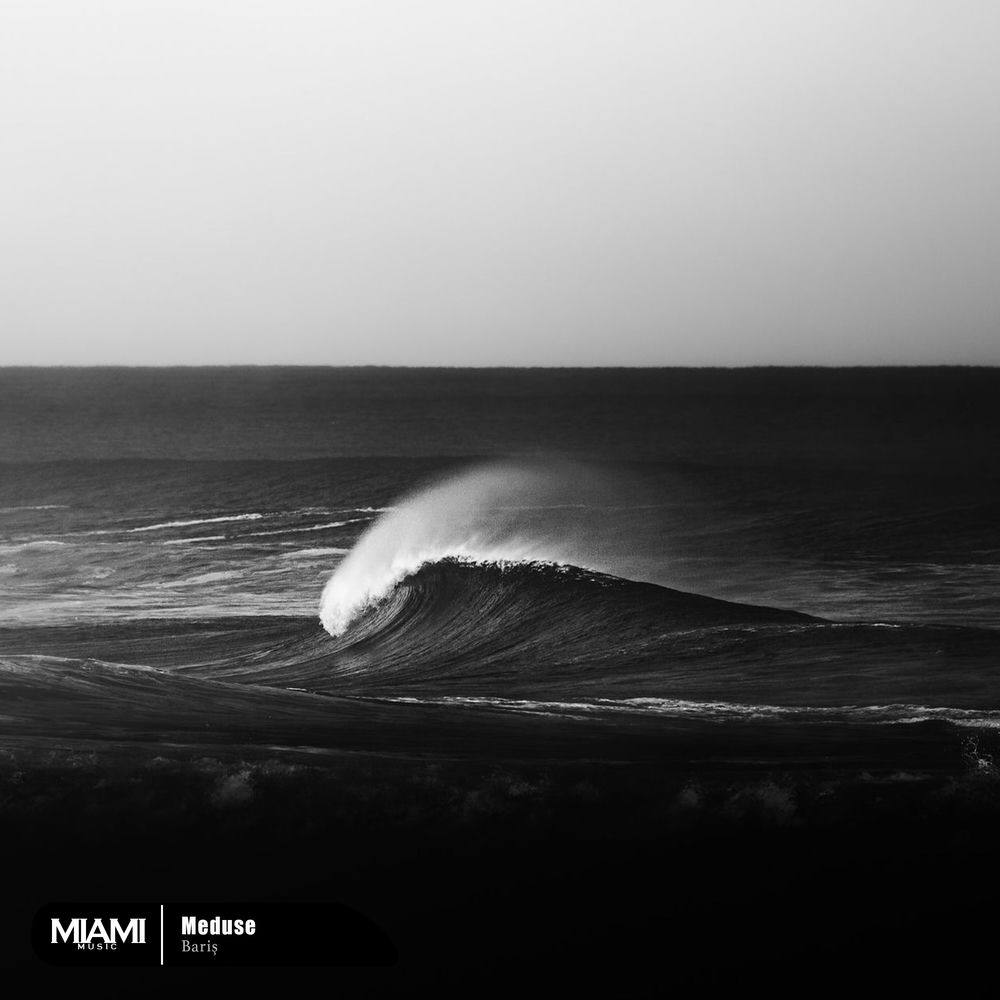 Meduse cover