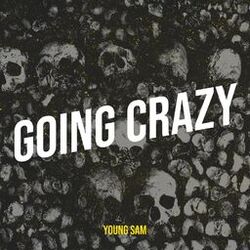 Cover of Going Crazy