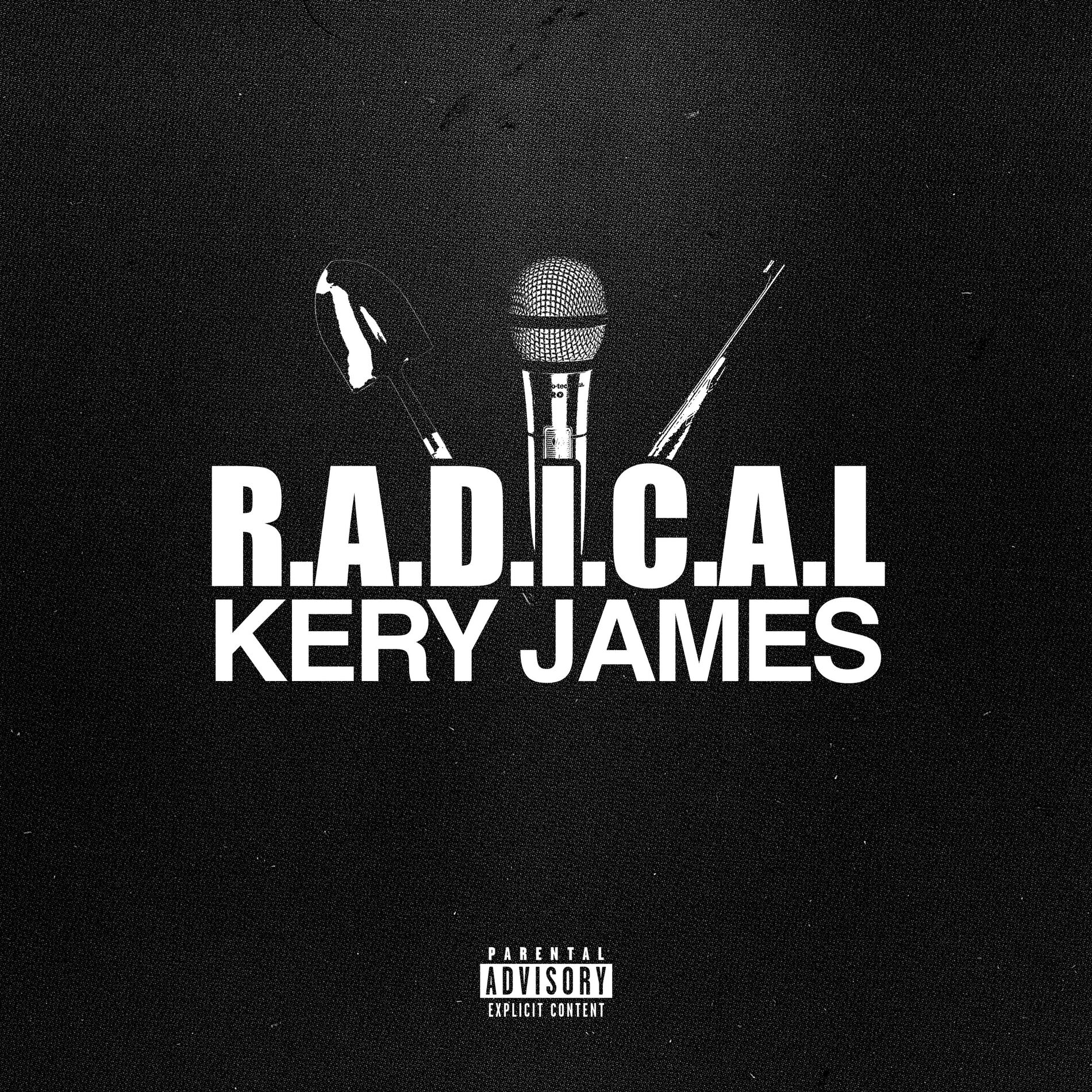 Album cover of R.A.D.I.C.A.L