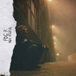 Cover of Fog It