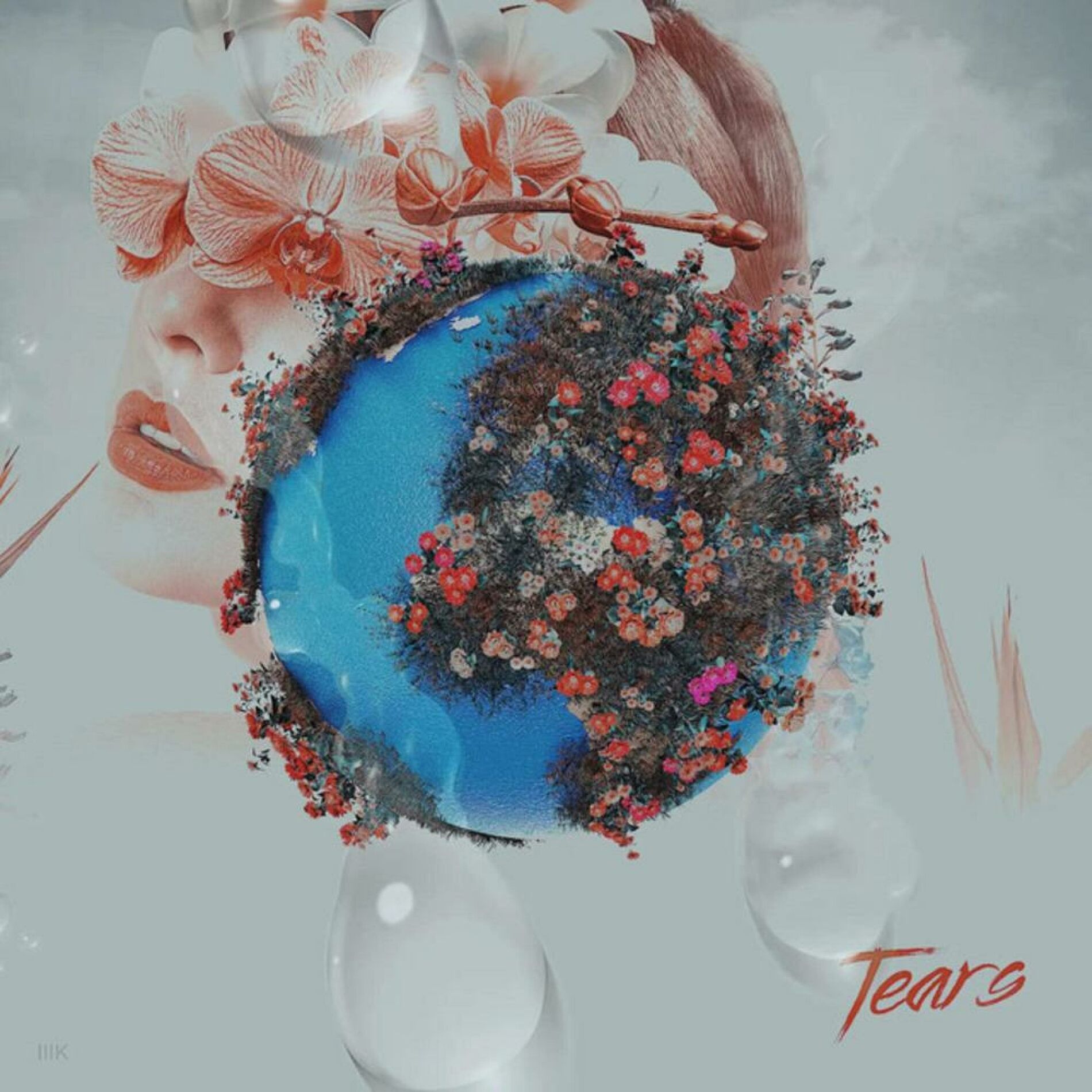 Album cover of Tears