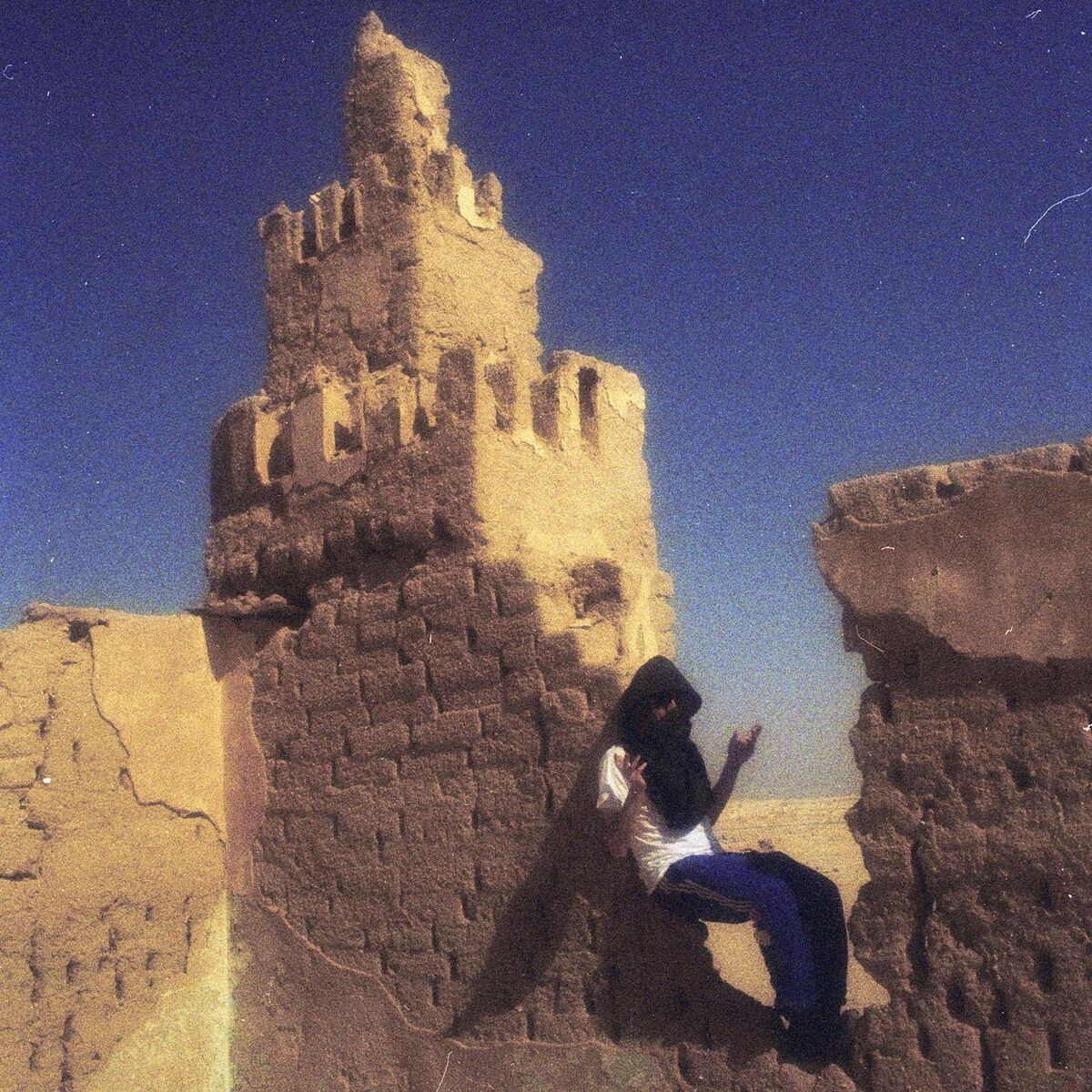 Album cover of Le Zin Errant