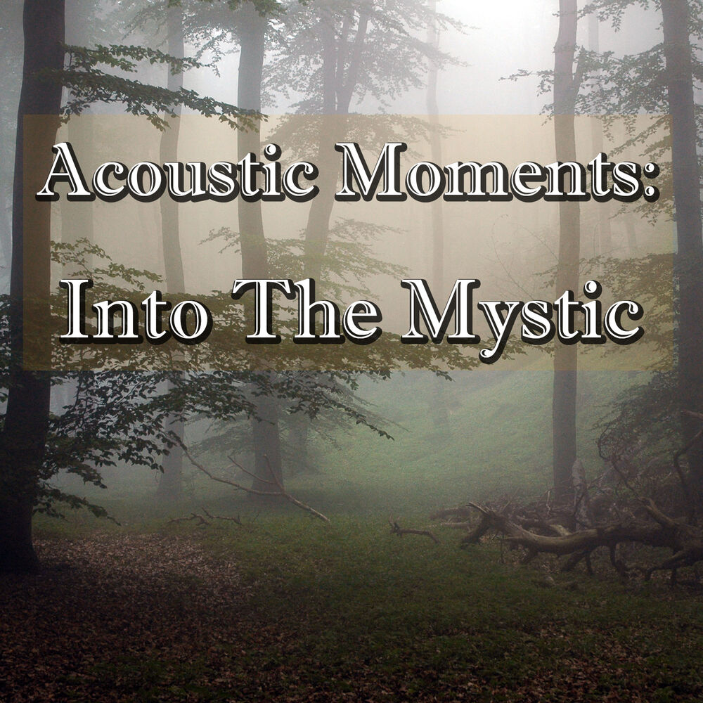 Picture of Acoustic Moments: Into The Mystic