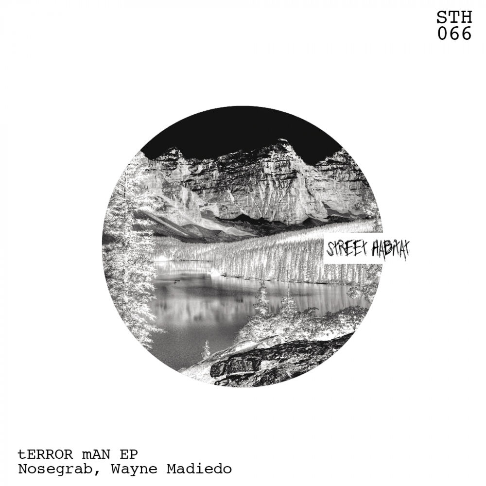 Picture of tERRORmAN EP
