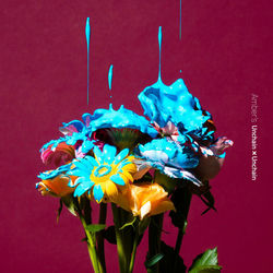 Pochette album