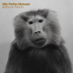 Cover of Baboon Moon