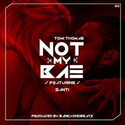 Cover of Not my Bae