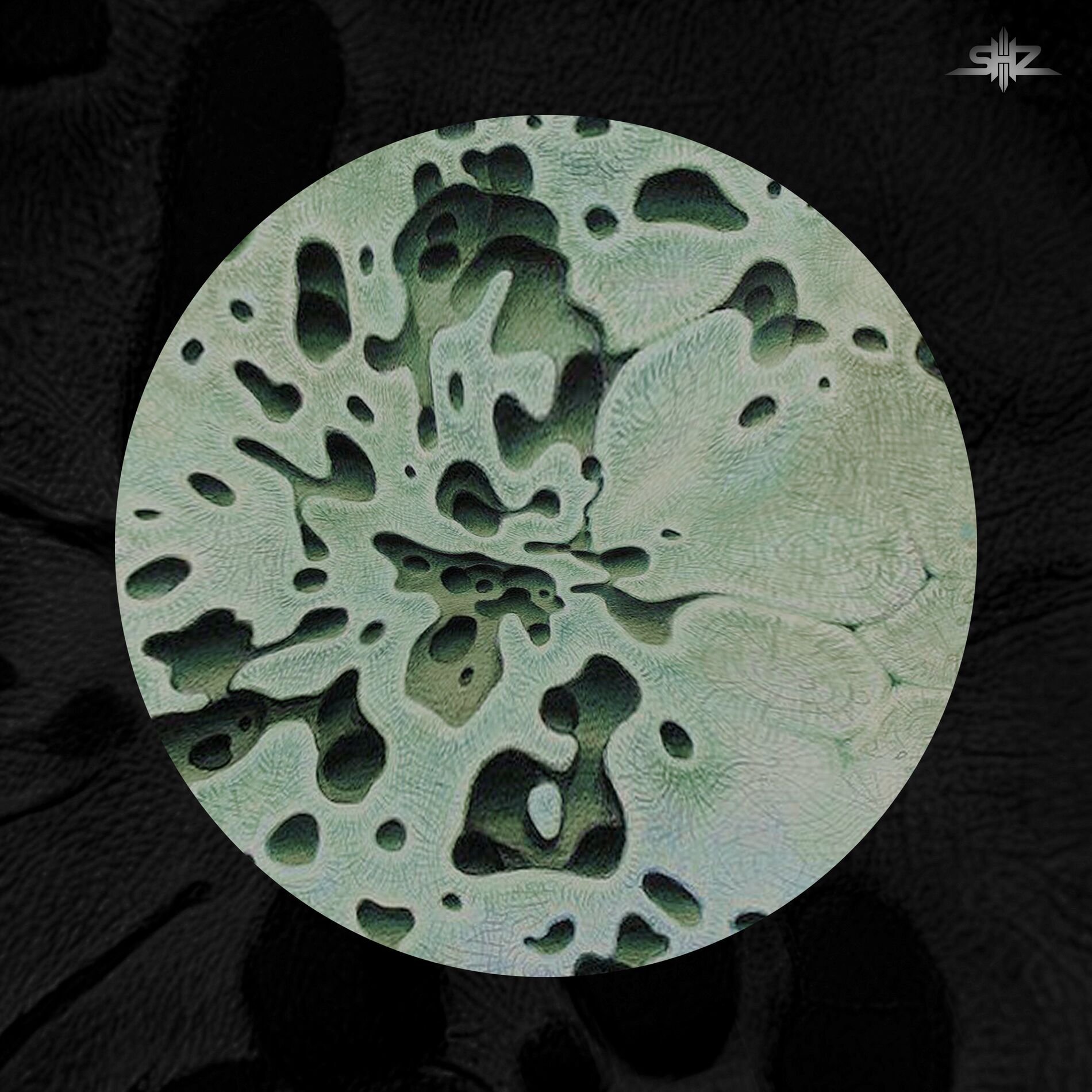 Album cover of Yara Noctua