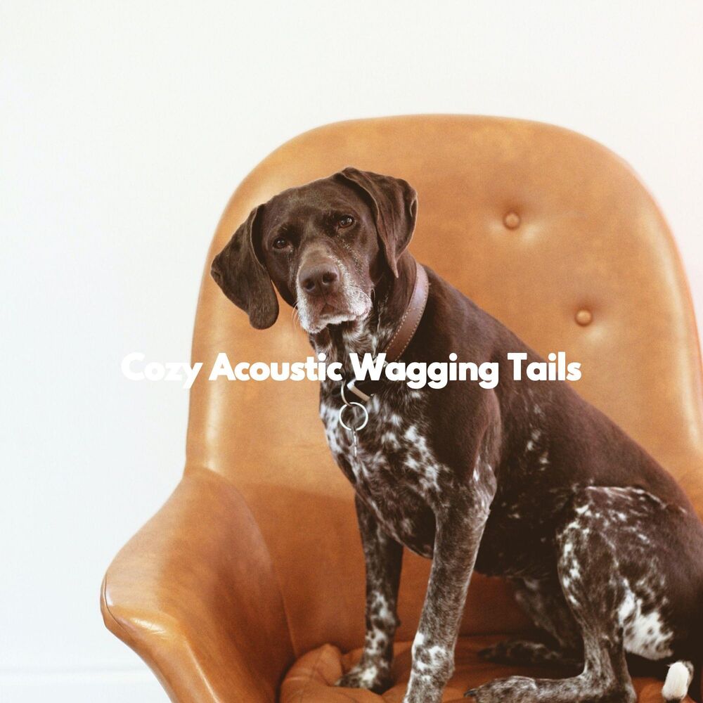 Picture of Cozy Acoustic Wagging Tails
