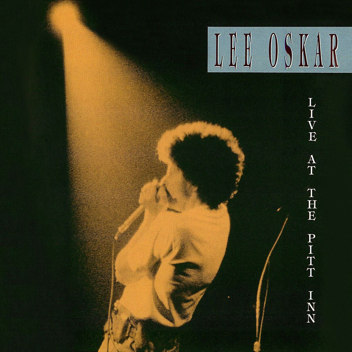 Album cover of Live at The Pitt Inn