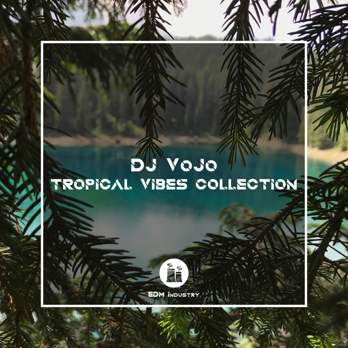 Album cover of Tropical Vibes Collection