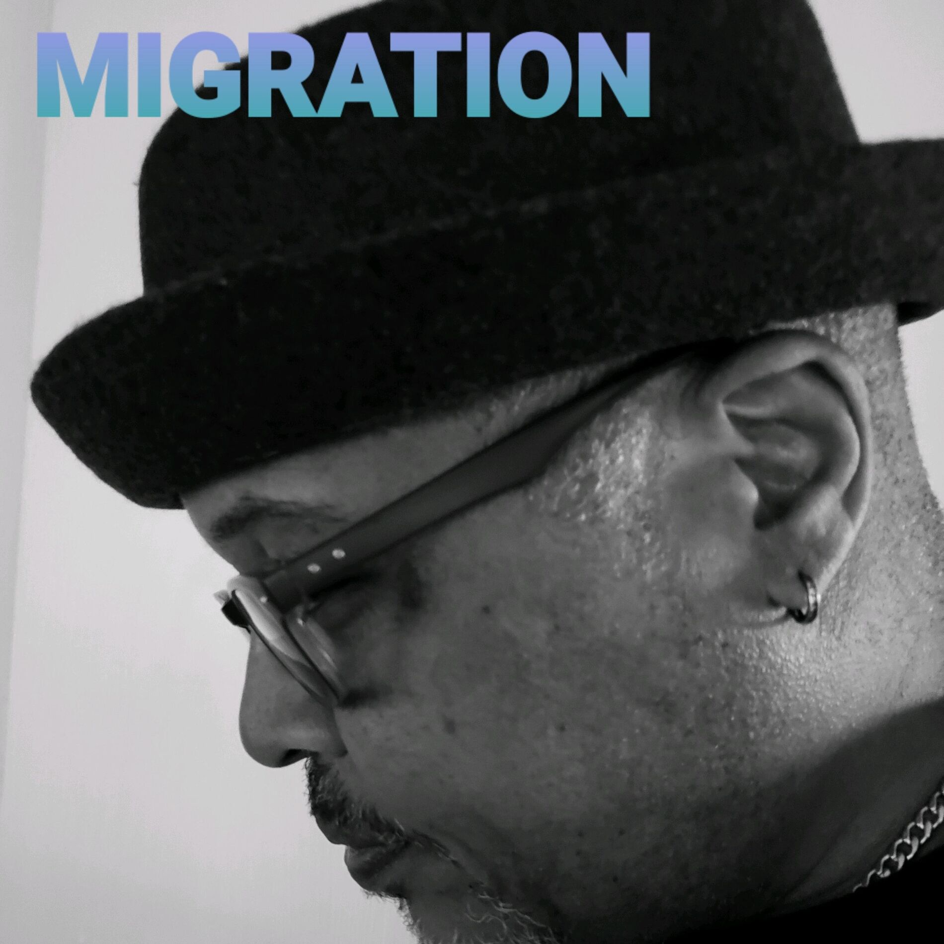 Album cover of Migration (feat. Dave Renz)