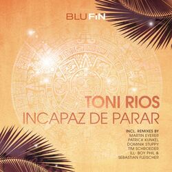 Cover of Incapaz de Parar