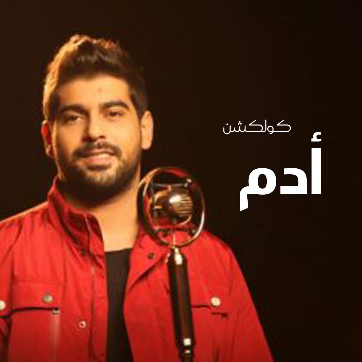 Album cover of Adam Collection