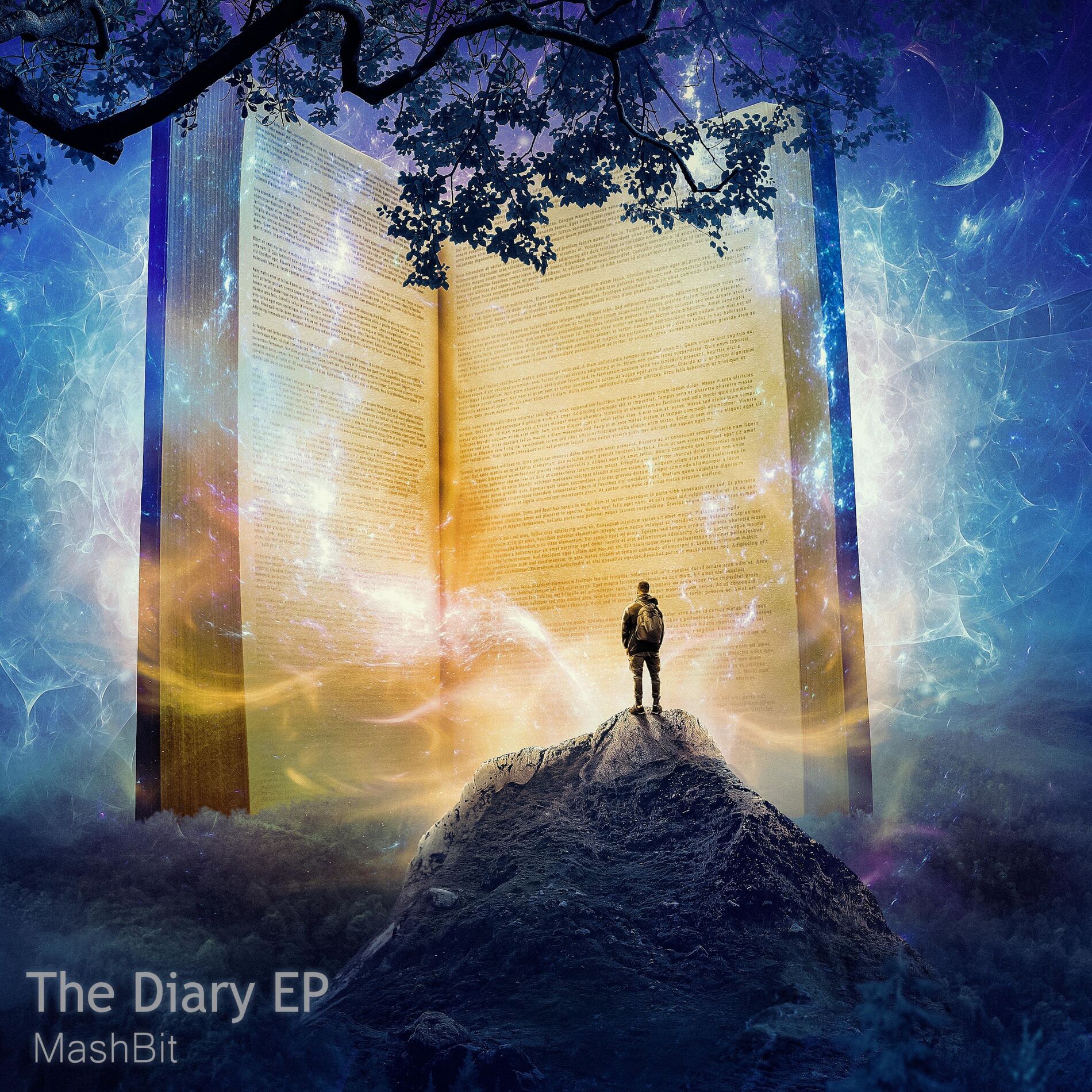 Album cover of The Diary