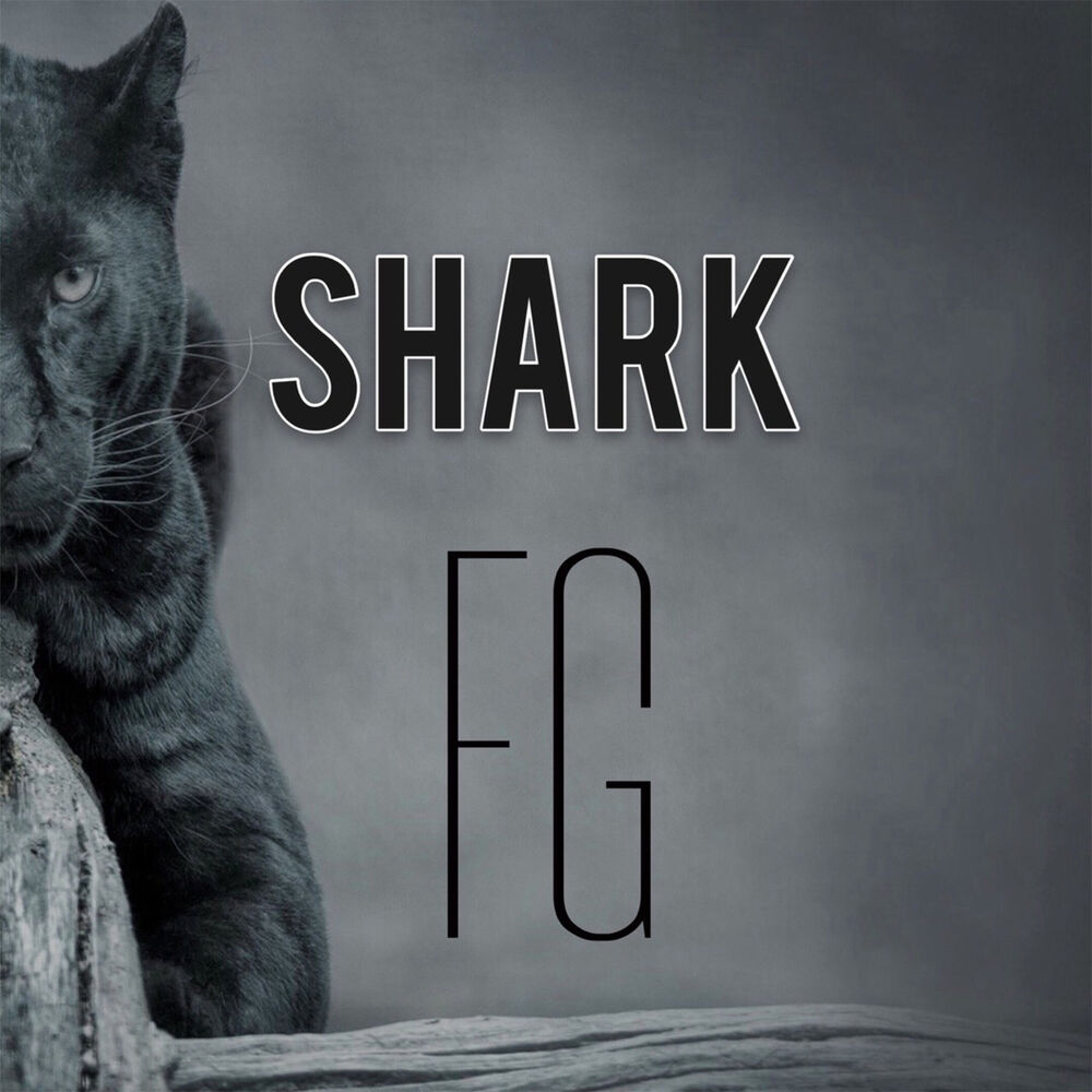 Picture of Shark