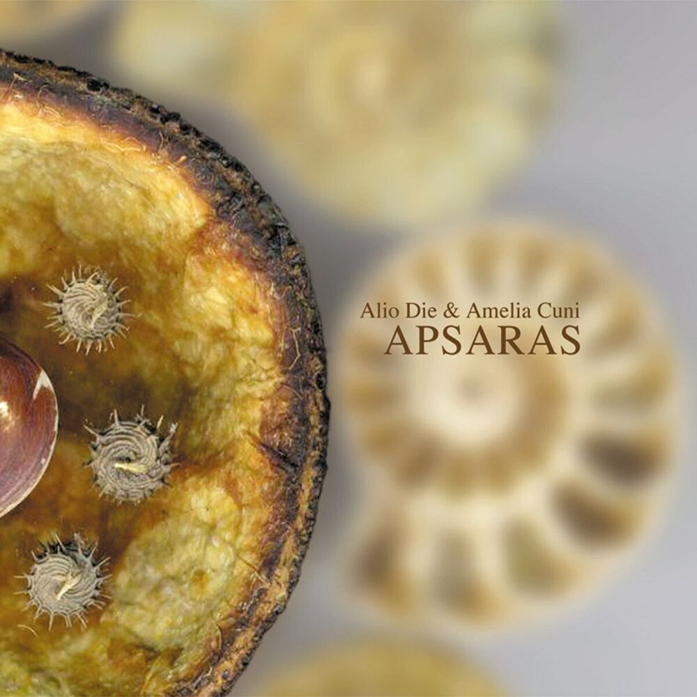 Picture of APSARAS