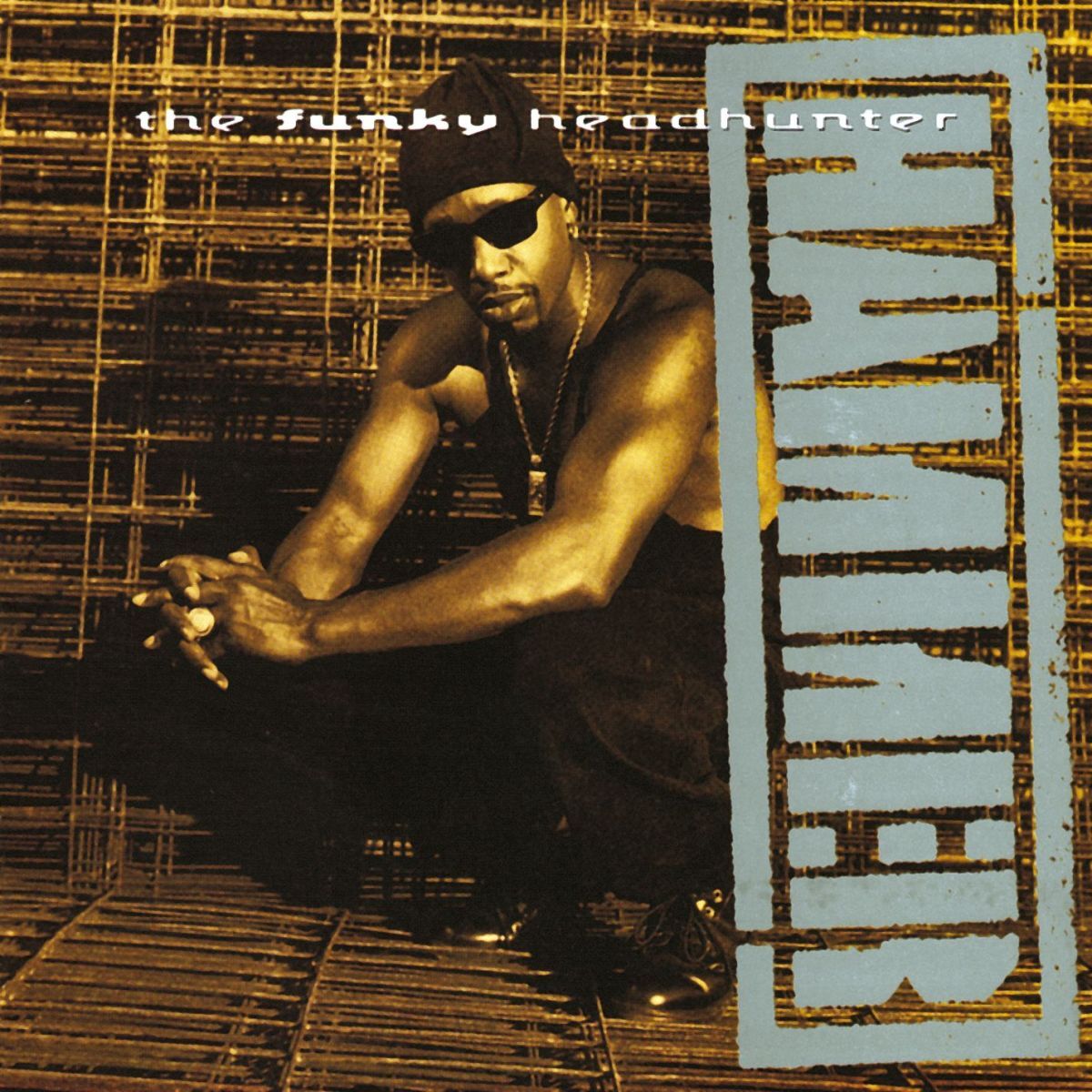 Album cover of The Funky Headhunter