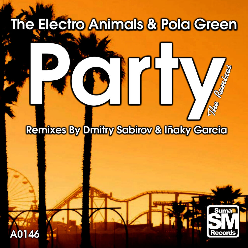 Picture of Party (The Remixes)
