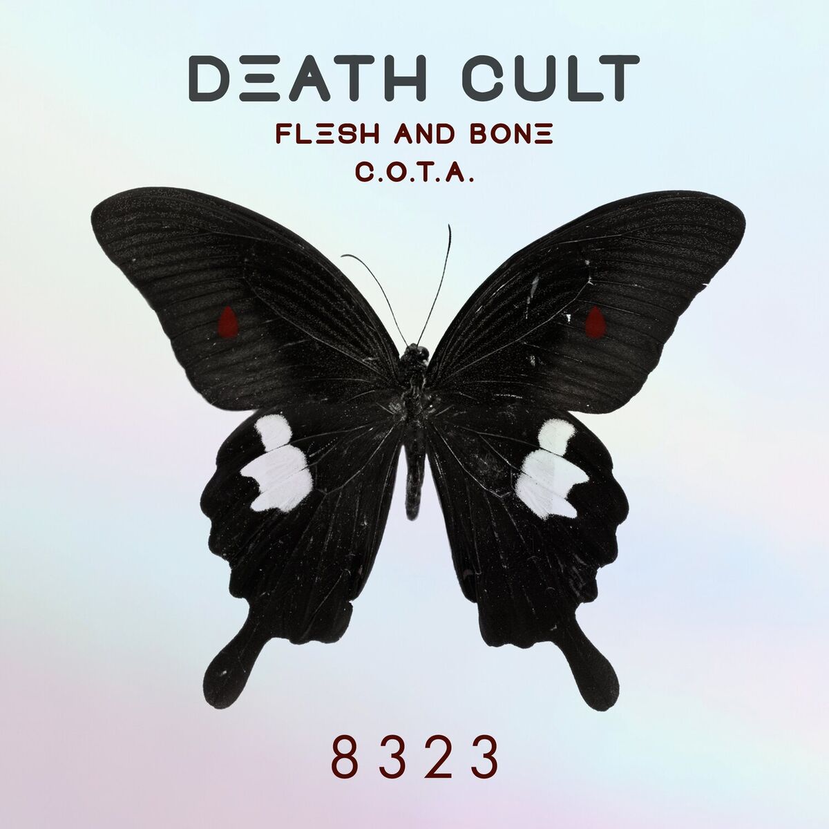 Album cover of C.O.T.A.