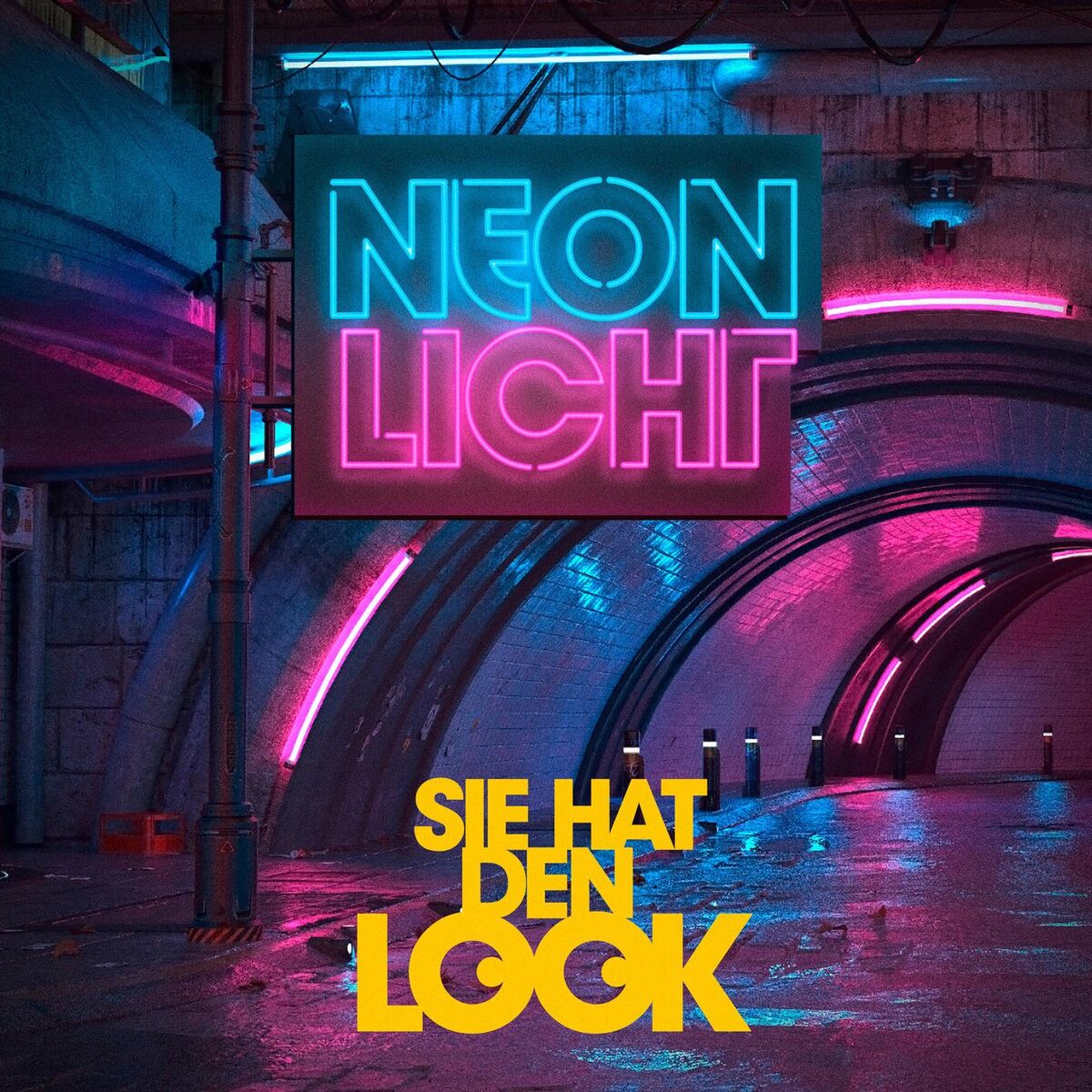 Album cover of Sie hat den Look