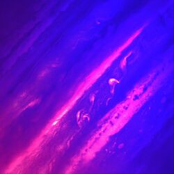 Cover of Let Go