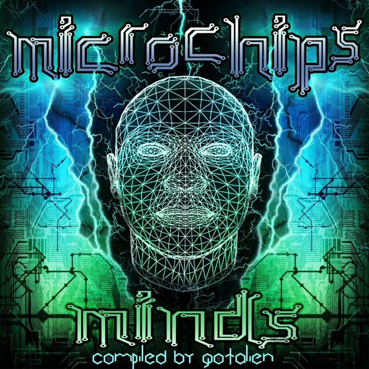Album cover of Microchips Minds