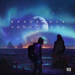 Cover of Spacewalk