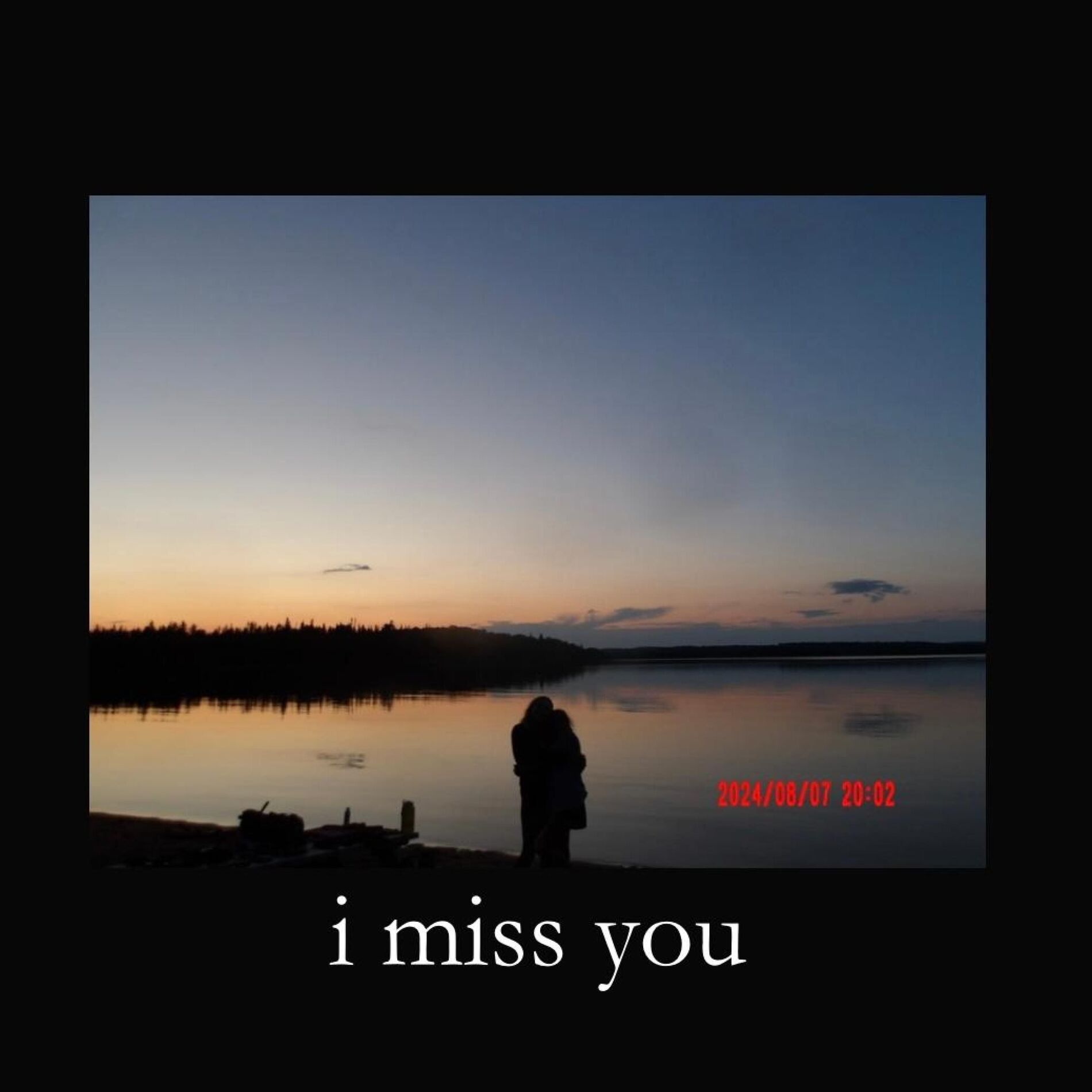 Album cover of i miss you