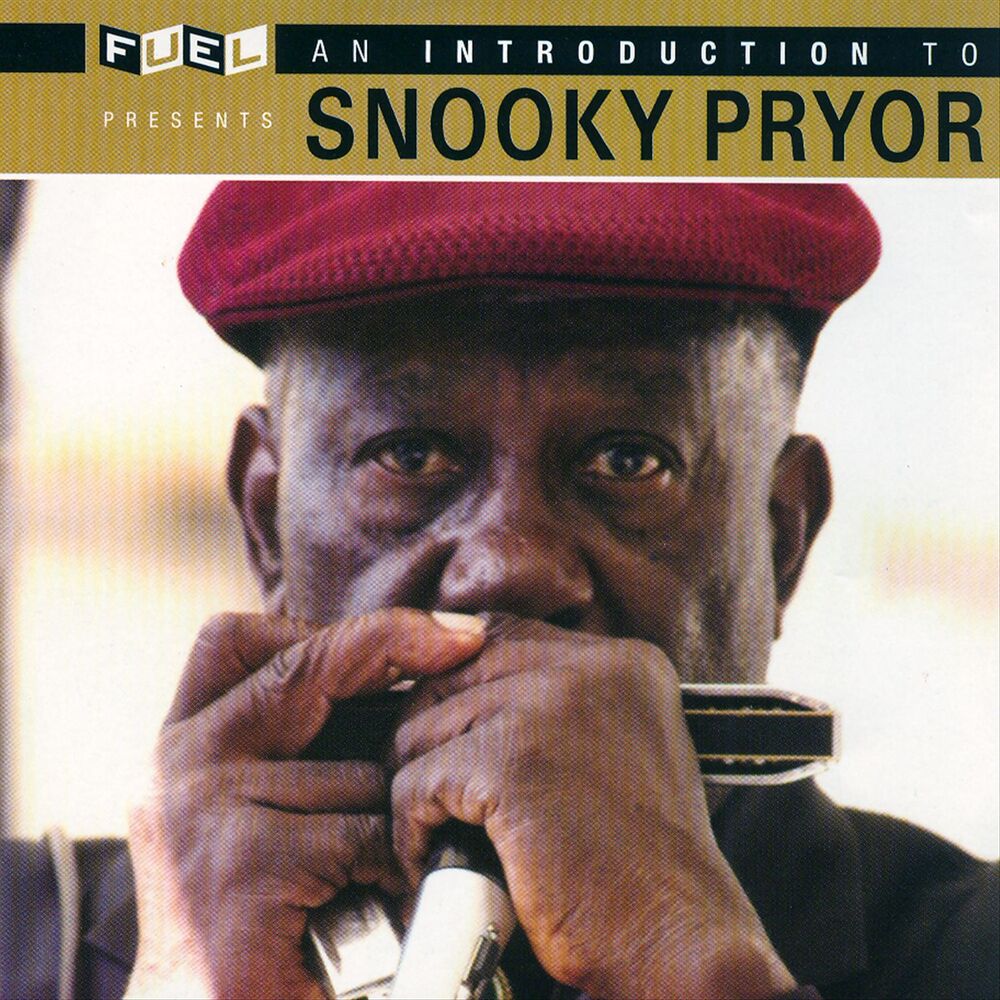 Picture of An Introduction To Snooky Pryor