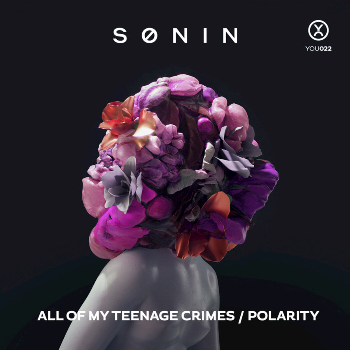 Album cover of All of My Teenage Crimes / Polarity