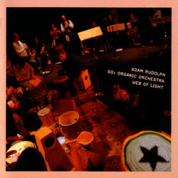 Cover of Go: Organic Orchestra Web of Light
