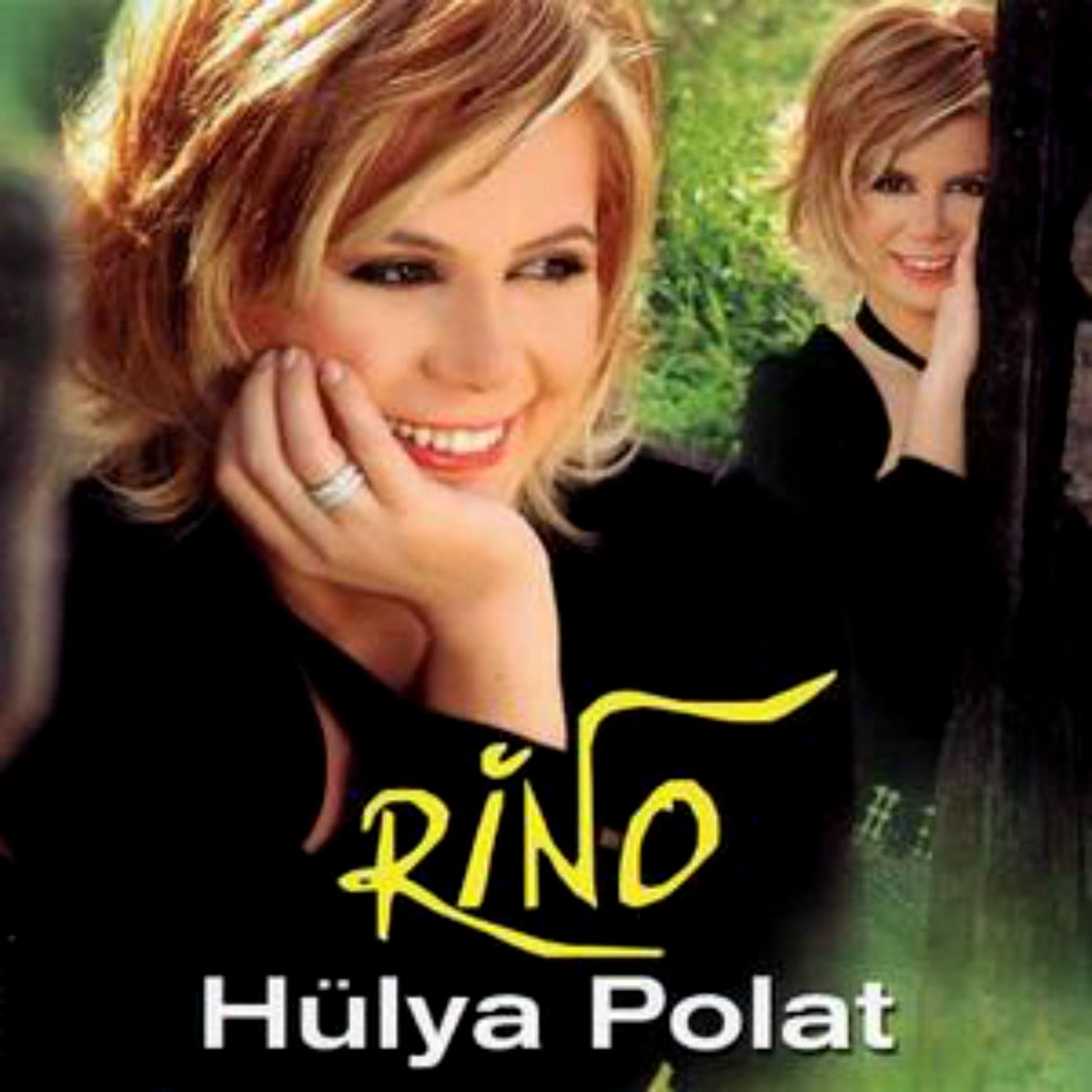 Album cover of Rino