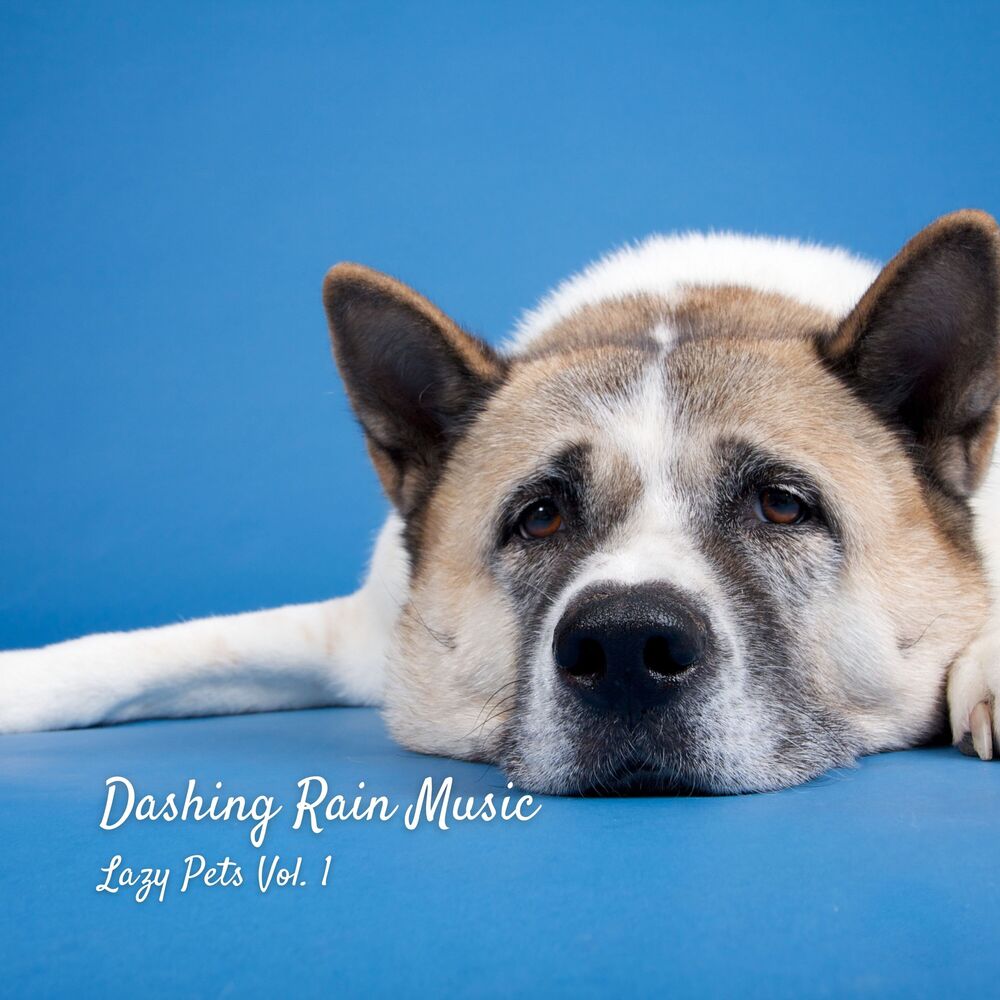 Picture of Dashing Rain Music: Lazy Pets Vol. 1