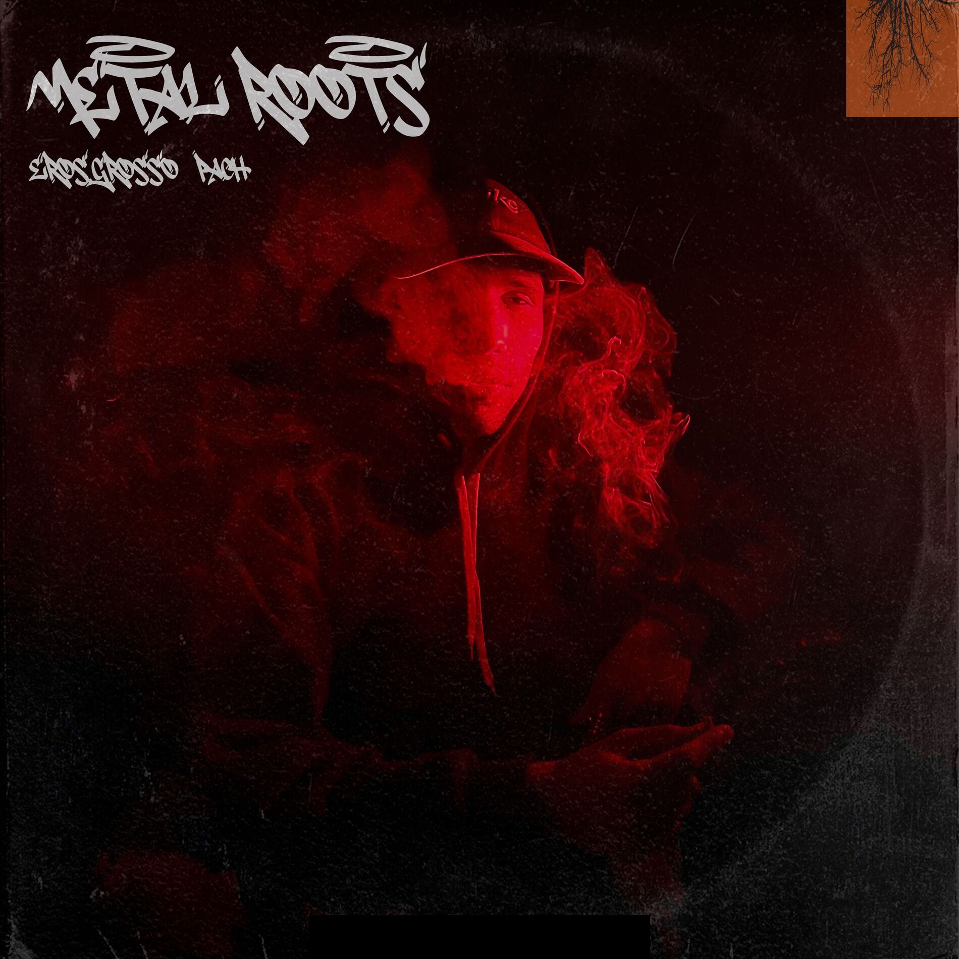 Album cover of METAL ROOTS