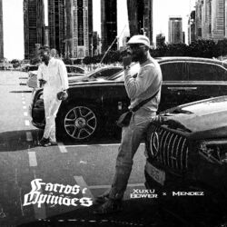 Cover of Factos E Opiniões