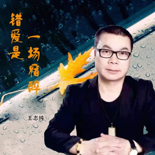 错爱是一场宿醉 (深情版)