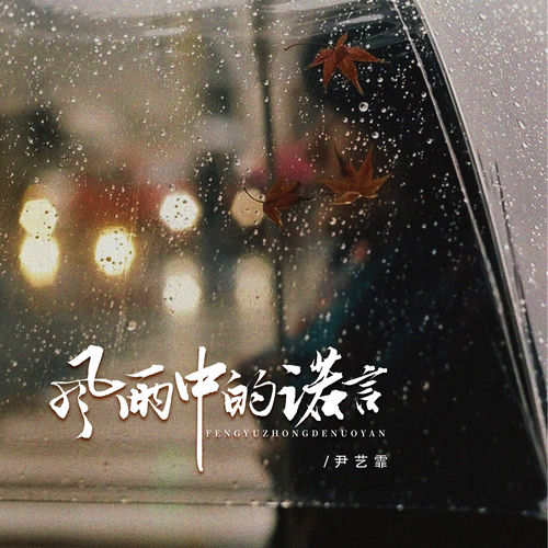 风雨中的诺言 (DJ京仔版)