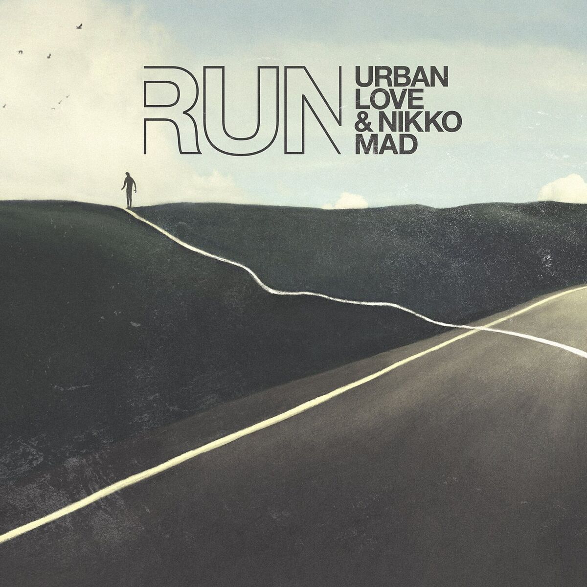 Album cover of Run