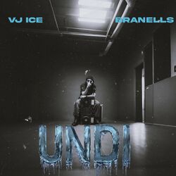 Cover of Undi
