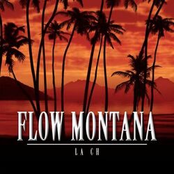 Cover of Flow Montana