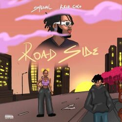 Cover of Road Side