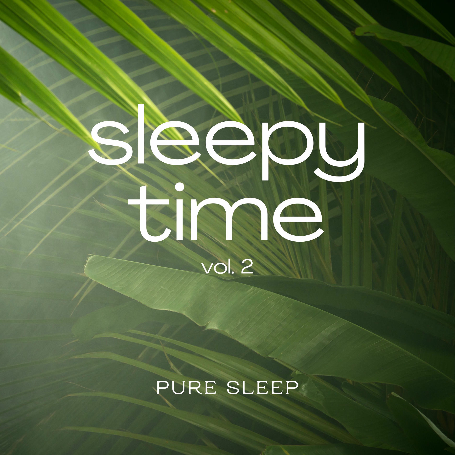 Album cover of Sleepy Time vol. 2
